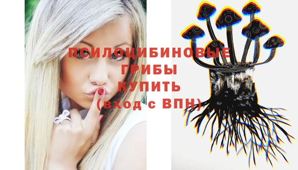 амф Майский