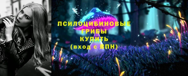 ECSTASY Абаза
