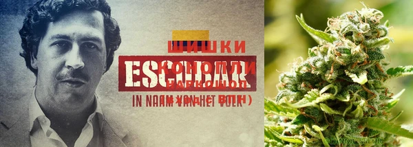 спиды Алексеевка