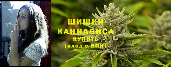 амф Майский