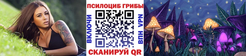 Псилоцибиновые грибы GOLDEN TEACHER  где найти наркотики  Фёдоровский 