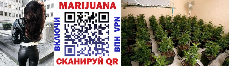 закладка  Фёдоровский  Шишки марихуана SATIVA & INDICA 